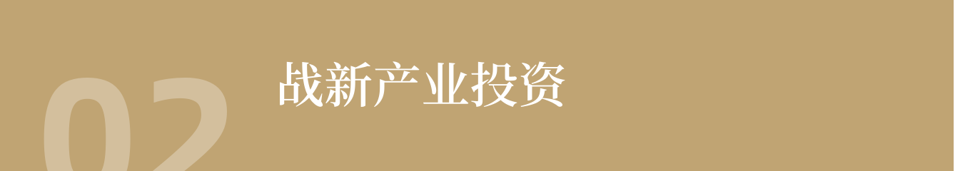 战新产业投资