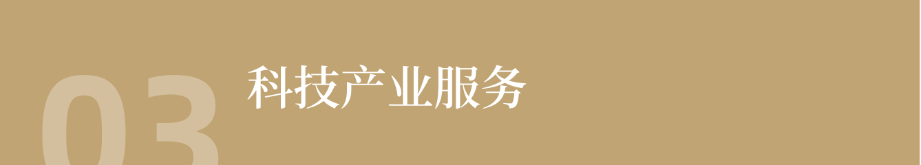 科技产业服务