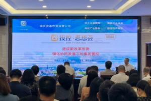 公海彩船6600(中国游)官方网站